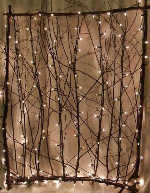 Nocciolo Contorto H 300 x 10 - Sconti per Fioristi e Aziende - Salix Willow naturale