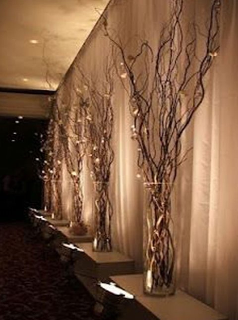 Nocciolo Contorto H 300 x 10 - Sconti per Fioristi e Aziende - Salix Willow naturale