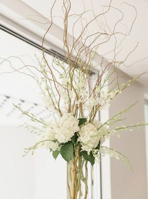 Nocciolo Contorto H 300 x 10 - Sconti per Fioristi e Aziende - Salix Willow naturale