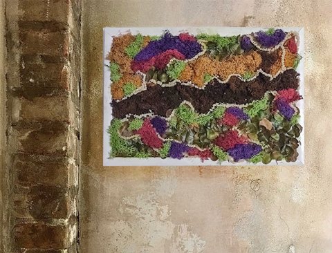 Quadro Moss Fanny Color - Sconto per Fioristi e Aziende . - 49 x 33 cm.