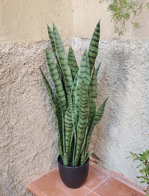 Sanseveria Laurentii H 90  - Sconti per Fioristi e Aziende . - Artificiale con vaso