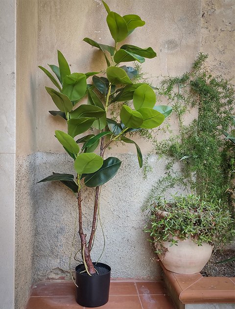 Ficus Elastica Verde H 150 - Sconti per Fioristi e Aziende - Artificiale con vaso