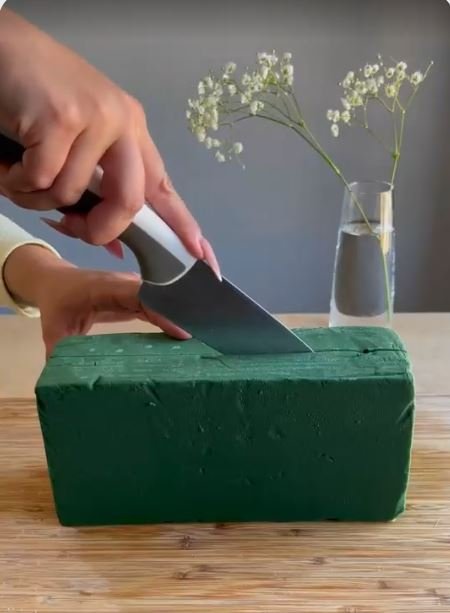 Spugna Eden Professional - Sconti per Fioristi e Aziende - Cartone da 20 pezzi