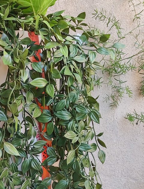 Epipremnum H 80 in gomma  - Sconti per Fioristi e Aziende - Artificiale