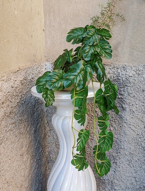 Kokedama Filodendro H 48 - Sconto per Fioristi e Aziende . - In Poliester dm. 28