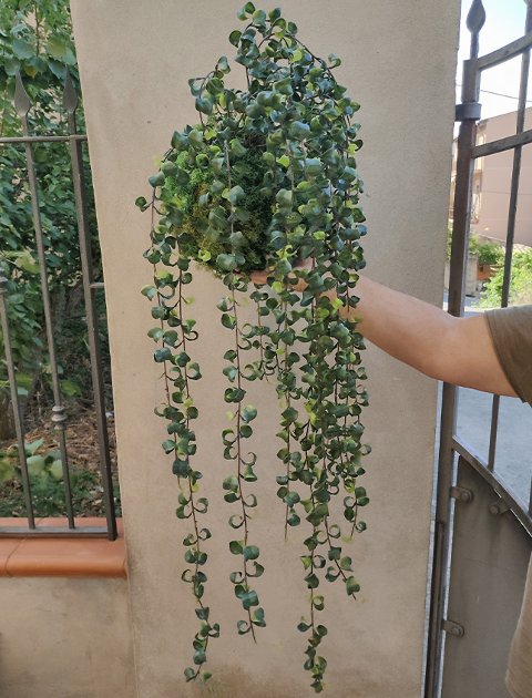 Kokedama Barock H 100  - Sconto per Fioristi e Aziende . - Su sfera Dm. 30