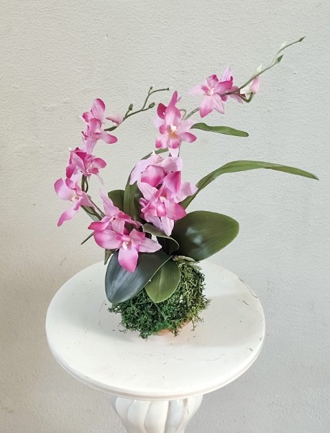 Kokedama Orchidea H 40 - Sconto per Fioristi e Aziende . - Purple dm. 25