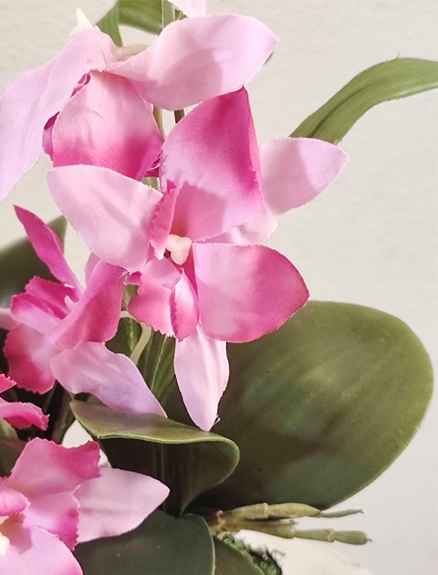 Kokedama Orchidea H 40 - Sconto per Fioristi e Aziende . - Purple dm. 25
