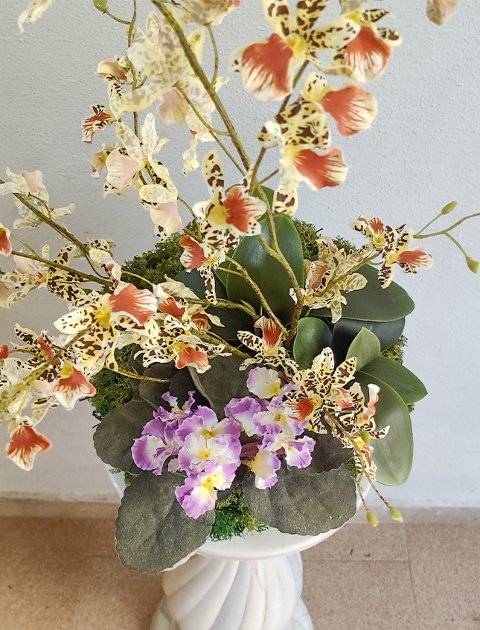 Kokedama Dancing Orchid - Sconto per Fioristi e Aziende . - Beige H 60 dm. 50