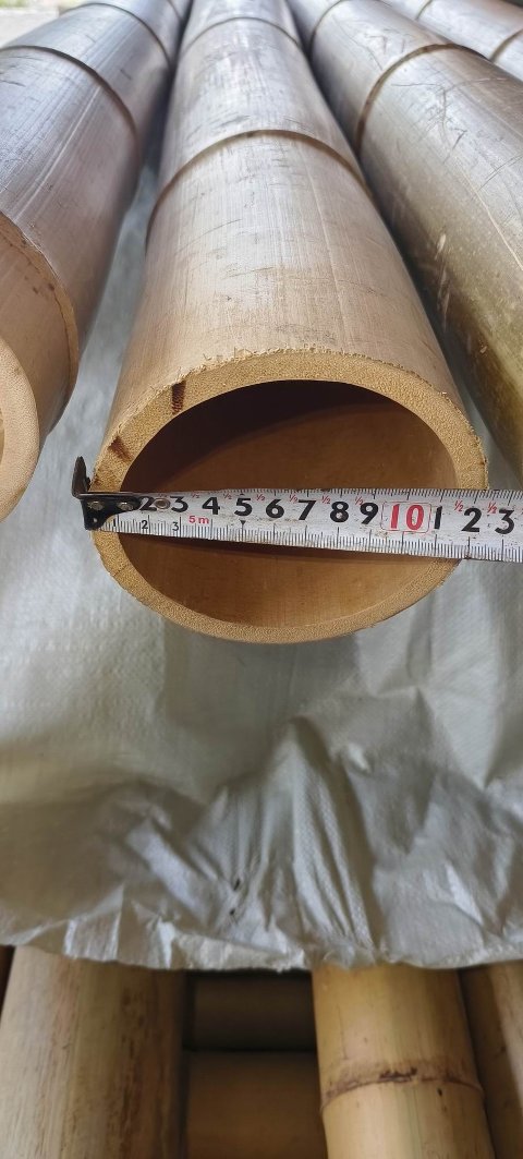Canna di Bamboo dm 12 / 14 - Sconti per Fioristi e Aziende . - H 200 - 250 - 300