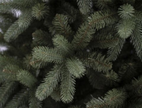 Albero Nigata abete verde  - Sconti per Fioristi e Aziende . - H 152/183/213/244 in PE+PVC