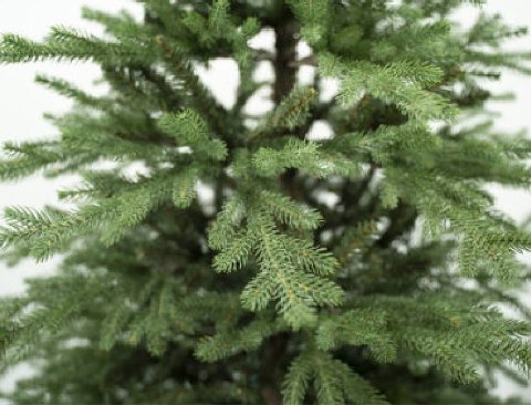 Albero Select abete verde  - Sconti per Fioristi e Aziende  - H 183/213/244 in PE+PVC