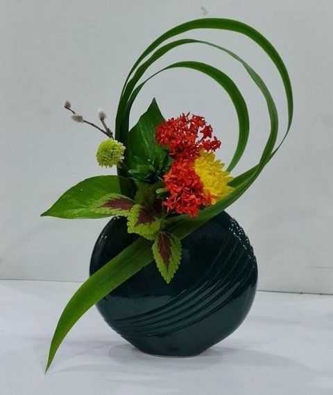 Vaso Terracotta Colorato  -  Sconto per Fioristi e Aziende - H 25 x 17 Platz