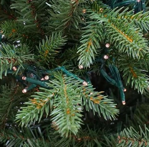 Albero Luxury abete c/ Led -  Sconti per Fioristi e Aziende - H 180/210/240 in PE+PVC