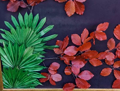 Quadro 100 x 100 Tropical - Sconto per Fioristi e Aziende Fiorissima - con stabilizzatie preservati