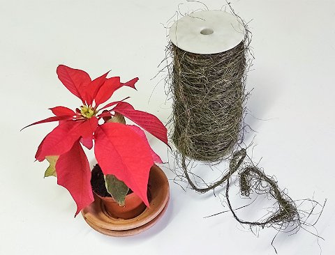 Nastro in canapa Naturale - Sconto per Fioristi e Aziende - Rotolo da  mt.10 Animato