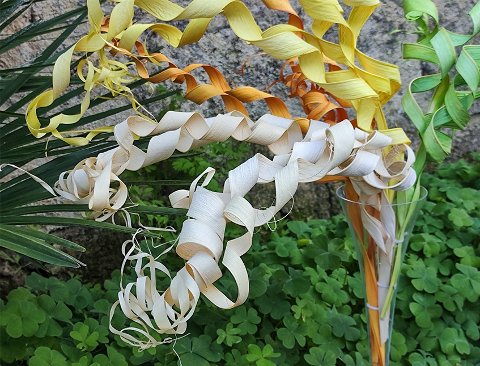 Ricciolo di canna x 5 - Sconti per Fioristi e Aziende -H 60 Diversi colori