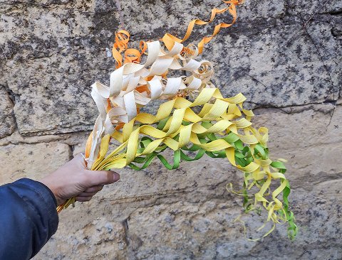 Ricciolo di canna x 5 - Sconti per Fioristi e Aziende -H 60 Diversi colori