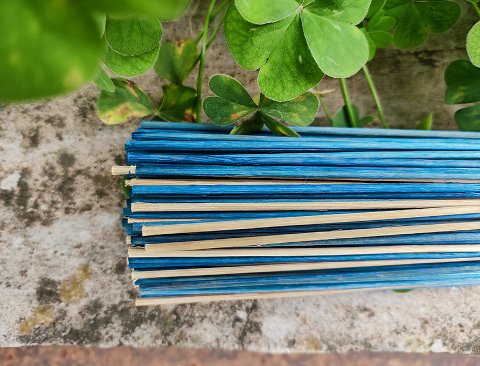 Mazzo midollino steso H 70 - Sconto per Fioristi e Aziende - Mazzo 500 gr. Bicolor