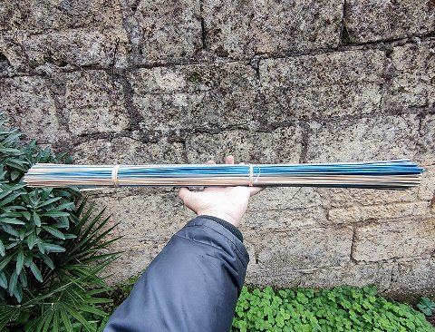 Mazzo midollino steso H 70 - Sconto per Fioristi e Aziende - Mazzo 500 gr. Bicolor