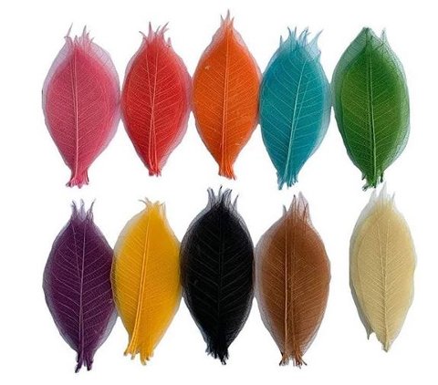 Foglie Scheletrite a cuore x 100 naturali colorate - Sconti per Fioristi e Aziende