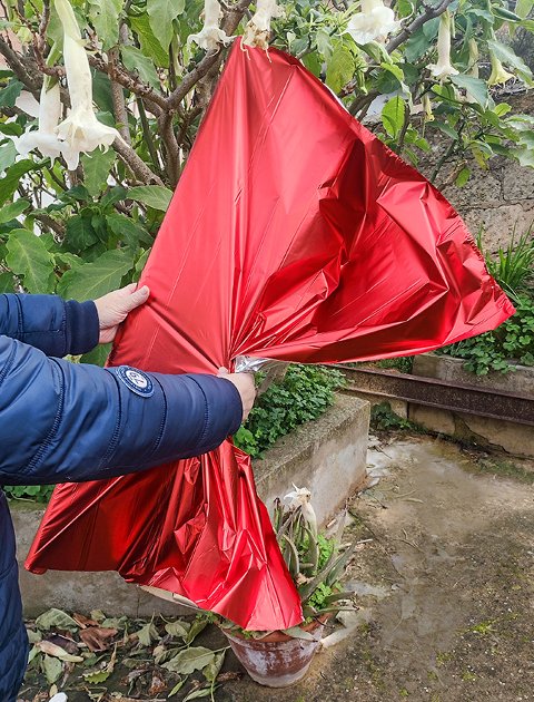 Bobina stesa H 100 x 20 Mt.  - Sconti per Fioristi e Aziende - HD Metal