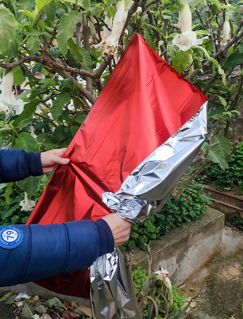 Bobina stesa H 100 x 20 Mt.  - Sconti per Fioristi e Aziende - HD Metal