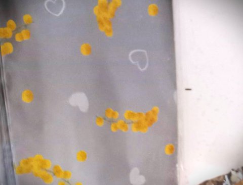 Busta per mimosa cm.15x30   - Sconti per Fioristi e Aziende - Fondo Argento - Conf.. 100 pz.