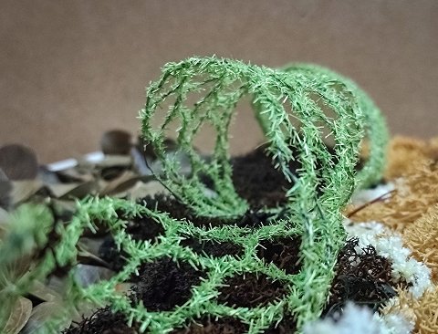 Nastro Rete Muschiata H 5  - Sconto per Fioristi e Aziende - Rotolo da 2 Yds