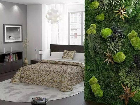 Giardini Vegetali Preservatii - Sconti per Fioristi e Aziende . - Adatto per Interno