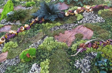 Giardini Vegetali Preservati - Adatti soltanto per interni . - Stile Sottobosco Collinare