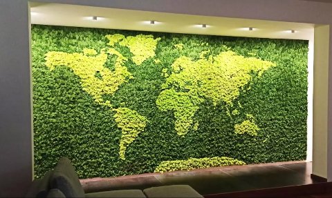 Parete Moss Stabilizzata - Sconti per Fioristi e Aziende . - Wall Moss a metro quadrato