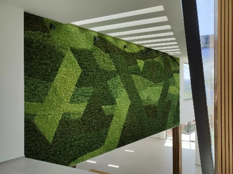 Parete Moss Stabilizzata - Sconti per Fioristi e Aziende . - Wall Moss a metro quadrato