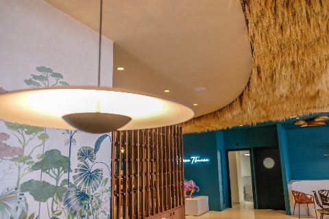 Soffitto Spighe di grano preservate per Ristoranti, Hotels e Resort . - a metro quadrato
