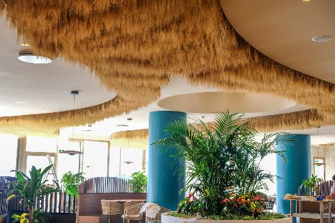 Soffitto Spighe di grano preservate per Ristoranti, Hotels e Resort . - a metro quadrato