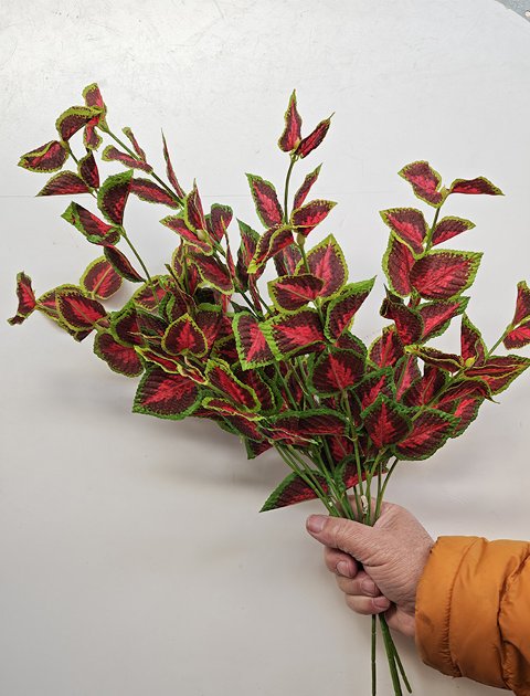 Coleus spray x 3  - Sconti per Fioristi e Aziende - H 45 In poliester