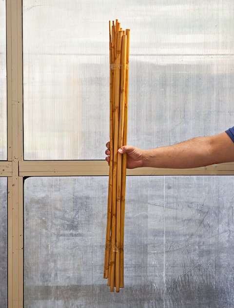 Canne Bamboo H 100 dm.2.5 - Sconti per Fioristi e Aziende . - Mazzo d 10 canne