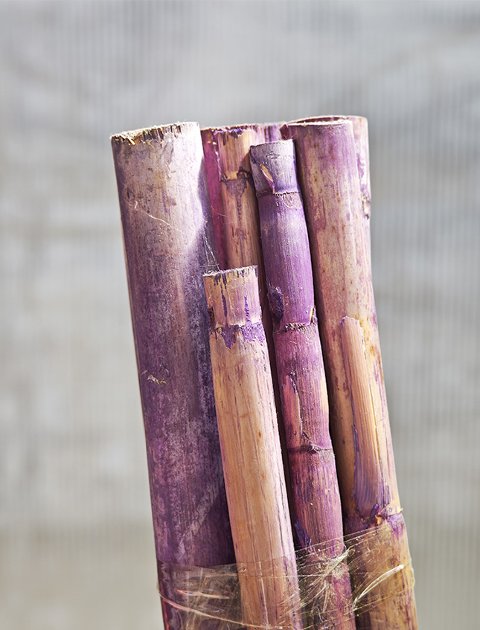 Canne Bamboo H 100 dm.2.5 - Sconti per Fioristi e Aziende . - Mazzo d 10 canne