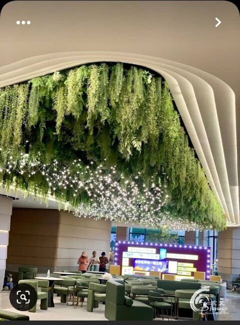 Soffitto con Vegetali Verdi Cadenti - Sconto per Fioristi e Aziende - Per esterno ed interno