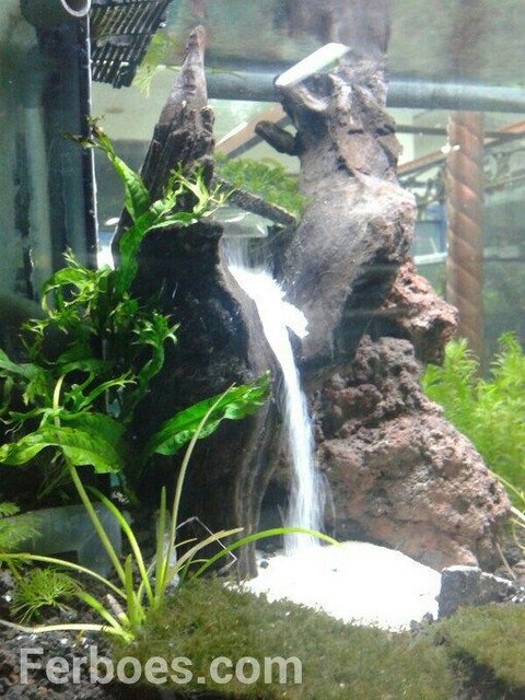 Cascata a Parete con Vegetali Preservati - Sconto per Rivenditori e Aziende Fiorissima - Per interno
