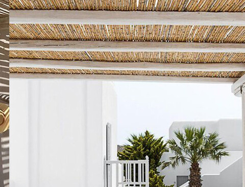 Arella di Canniccio Legato  - Sconti per Fioristi e Aziende . - Canna Intera H 50 x 3 metri