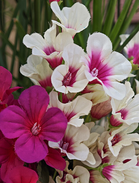 Petunia artificiale x 5 - Sconto per Fioristi e Aziende - in diversi colori
