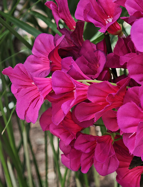 Petunia artificiale x 5 - Sconto per Fioristi e Aziende - in diversi colori