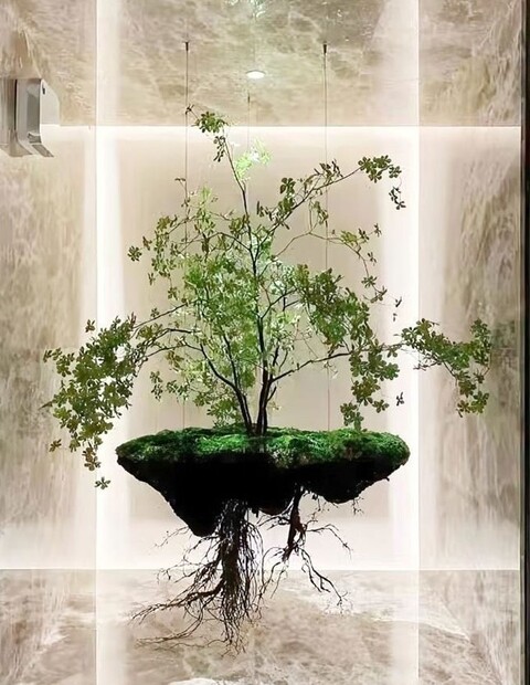 Soffitto con Vegetali Verdi Pendentii - Sconto per Fioristi e Aziende - Per esterno ed interno