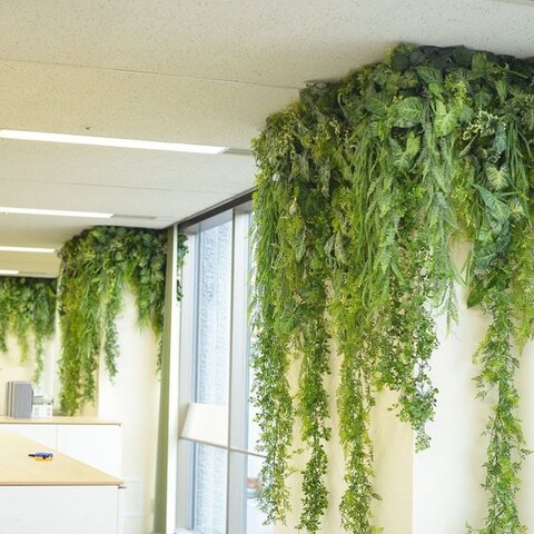 Soffitto con Vegetali Verdi Pendentii - Sconto per Fioristi e Aziende - Per esterno ed interno