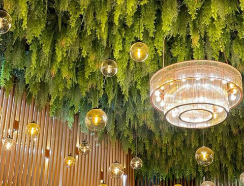 Soffitto con Vegetali Verdi Pendentii - Sconto per Fioristi e Aziende - Per esterno ed interno