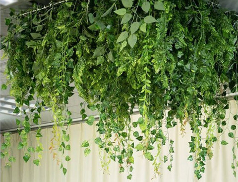 Soffitto con Vegetali Verdi Pendentii - Sconto per Fioristi e Aziende - Per esterno ed interno
