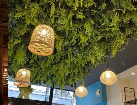 Soffitto con Vegetali Verdi Pendentii - Sconto per Fioristi e Aziende - Per esterno ed interno