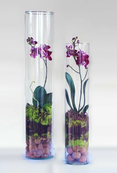 Cilindro Vetro H 25 dm.15 Trasparente - Sconti per Fioristi e Aziende