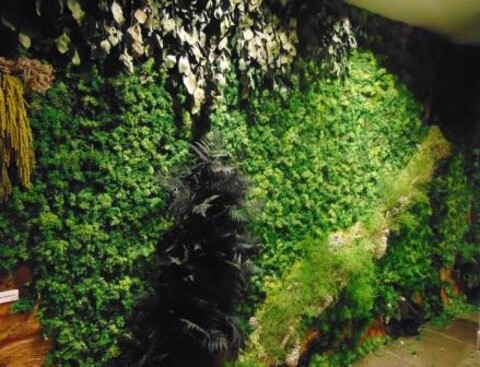 Giardini Vegetali Preservati - Adatti soltanto per interni . - Stile Garden Palermo